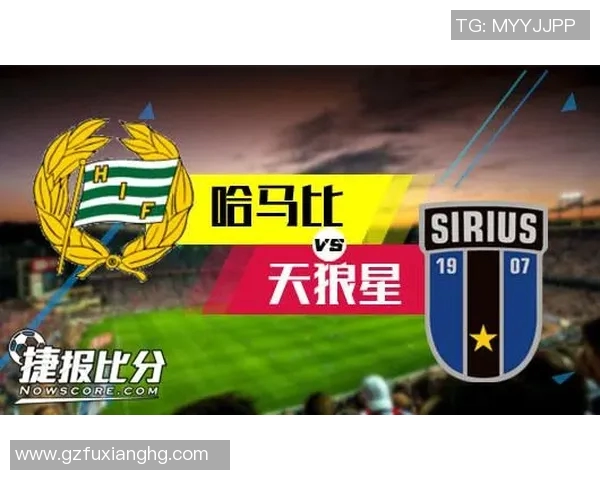 天狼星与哈马比对决分析及推荐策略分享